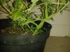 20130606_224255.jpg
