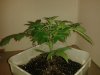 20130606_224632.jpg