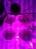 20130606_225513.jpg