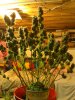 IMG_20130606_195125.jpg