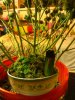 IMG_20130606_195234.jpg