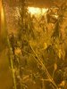 94396488-FCC3-49DF-BDE1-1751C13344B6.jpeg