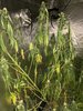 2175758A-59EE-4E54-951A-3E4D26BAAD81.jpeg