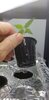 Auto American Pie (Pyramid) -  day 11