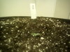 Oaseeds & BioBizz