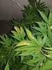 20200716_143722.jpg