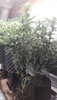 20200720_204703.jpg