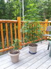 20200723_110622.jpg