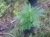 130608_0002.jpg