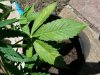 20130609_154003.jpg