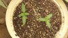 20130609_111832_1.jpg