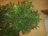 20130609_222638.jpg