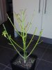 WP_000180.jpg
