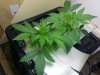 20130610_113754.jpg