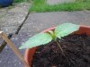 20130611_100427.jpg