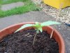 20130611_100401.jpg