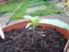 20130611_100414.jpg