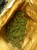 IMG_20130611_231429.jpg