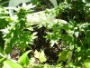100_2029.jpg