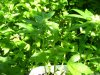 100_2047.jpg