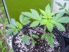 100_2053.jpg