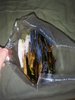 20200805_142934.jpg