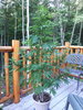 20200806_071942.jpg