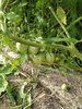IMG_20200808_174829.jpg