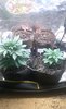 20200818_090856.jpg