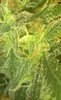20200818_084351.jpg