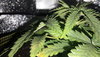 20200817_211112.jpg