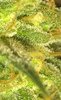 20200819_094717.jpg