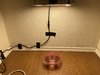 emptyroom.jpg emptyroom.jpg
