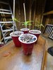 20200830_092635.jpg