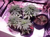 20200831_225431.jpg