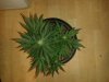 20130612_221750.jpg