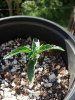 IMG_20130531_175452_413.jpg