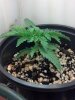 IMG_20130605_224410_349.jpg