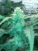 20130613_214858.jpg