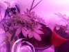 20130614_201502.jpg