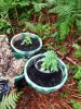 DSCF0541.jpg
