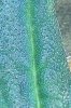 100_1323.JPG