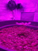 20200902_103152.jpg