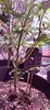 received_345189069955494.jpeg