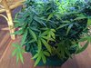 IMG_20200914_120621.jpg
