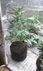 20200914_085134.jpg