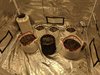 IMG_20200917_180238.jpg
