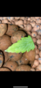 DA499948-2AF9-455F-9E5B-72F2EDE8C0C8.png