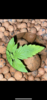 2A40F1AF-7934-4EBF-A4D1-3288C705EE89.png