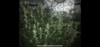 914C0509-C78B-47AA-A72D-8397CE539247.png